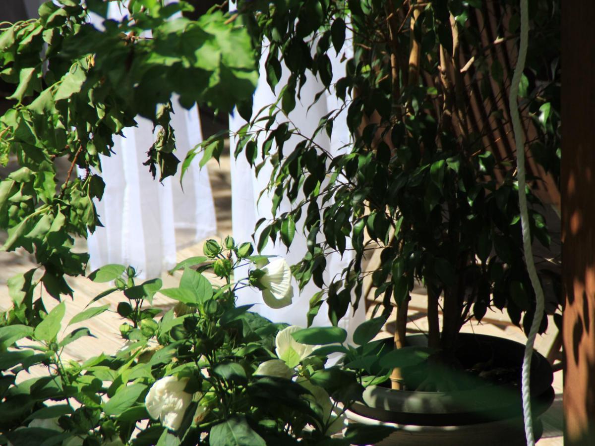 Bed and Breakfast Les Pascals Saint-Paul-les-Romans Екстер'єр фото